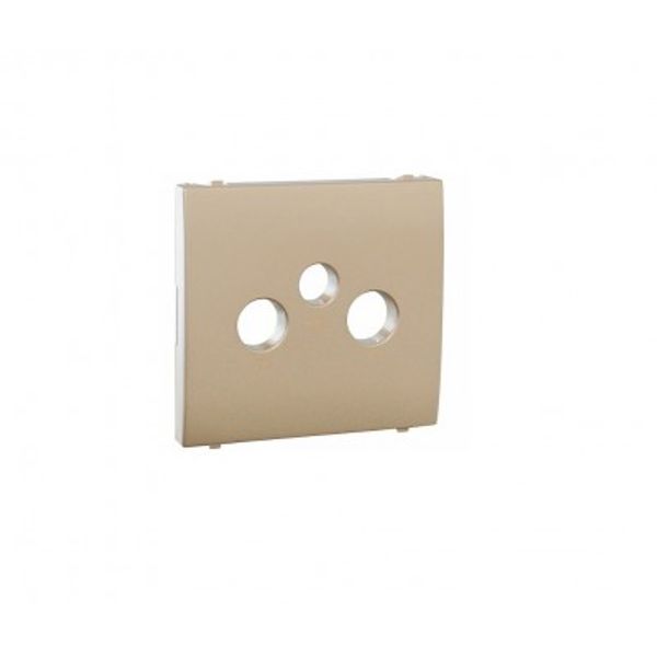 COVER PLATE FOR R-TV-SAT SOCKETS PLATINUM image 1