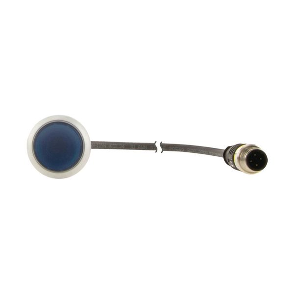 C22-DL-B-K10-24-P5 Illuminated pushbutton actuator, Flat, momentary, 1 N/O, Cable (black) with M12A plug, 4 pole, 1 m, LED Blue, Blue, Blank, 24 V AC/DC, Bezel: titanium image 12