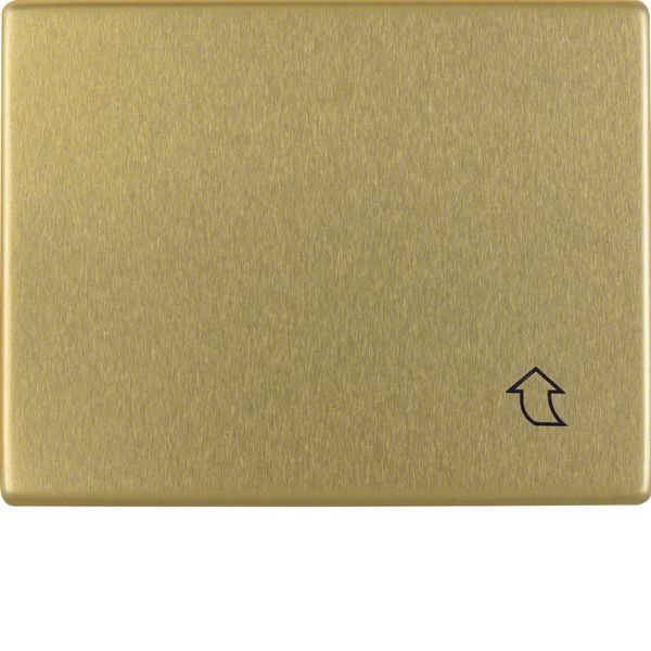 Intermediate ring with folding. for central plate, birch Arsys, aluminum (gold) image 1