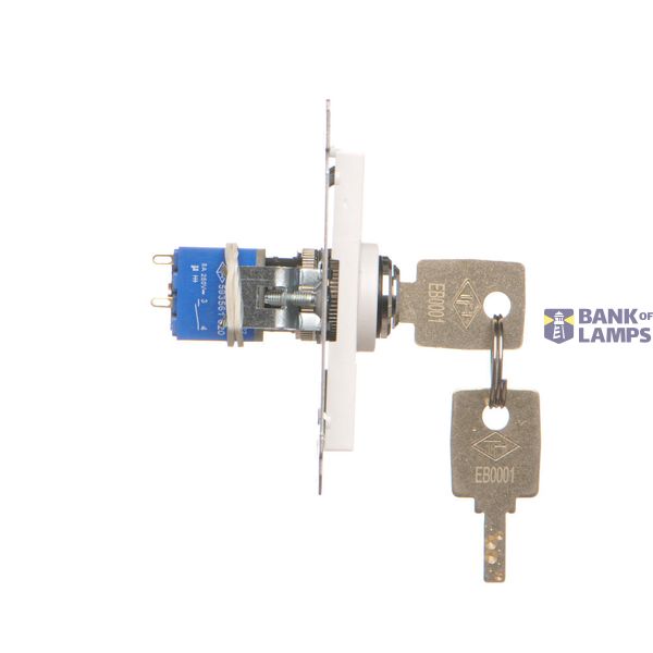 Single computer socket RJ45 category 6 with anti-dust cover, (module), Inox, metallized image 1