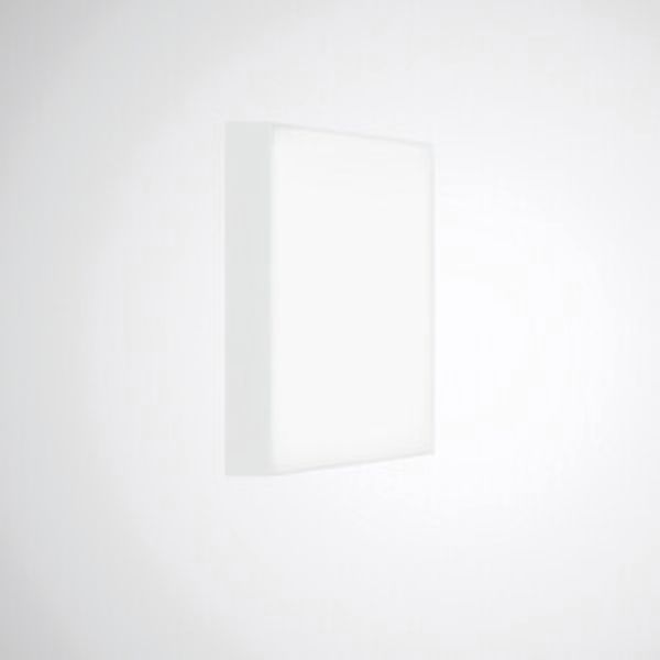 Mechanical accessories Olisq Q White 8259200 image 1