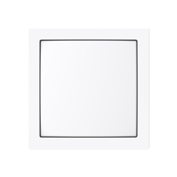 1576 CN-44G c-plate InfoL blind image 1