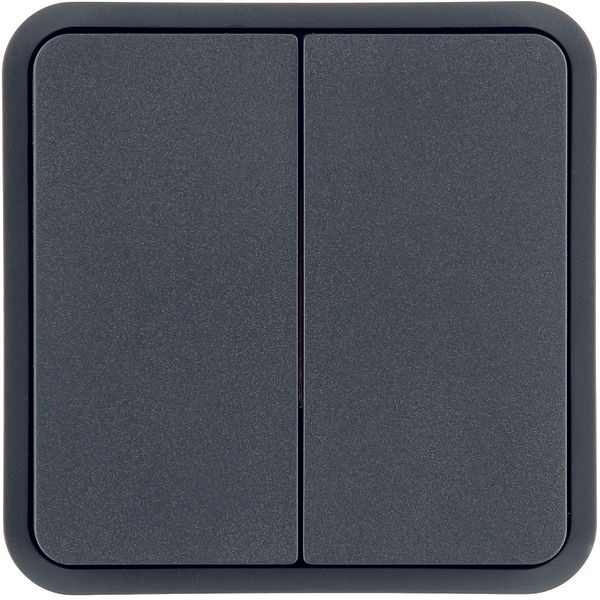 Rocker 2gang for W.1 push-button BCU, grey image 1
