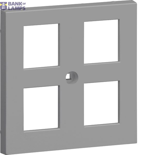 Central plate 55 UAE 4-gang, alu image 1