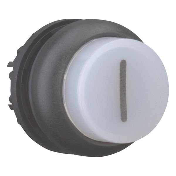 M22S-DRLH-W-X1 Illuminated pushbutton actuator, RMQ-Titan, Extended, maintained, White, inscribed 1, Bezel: black image 14