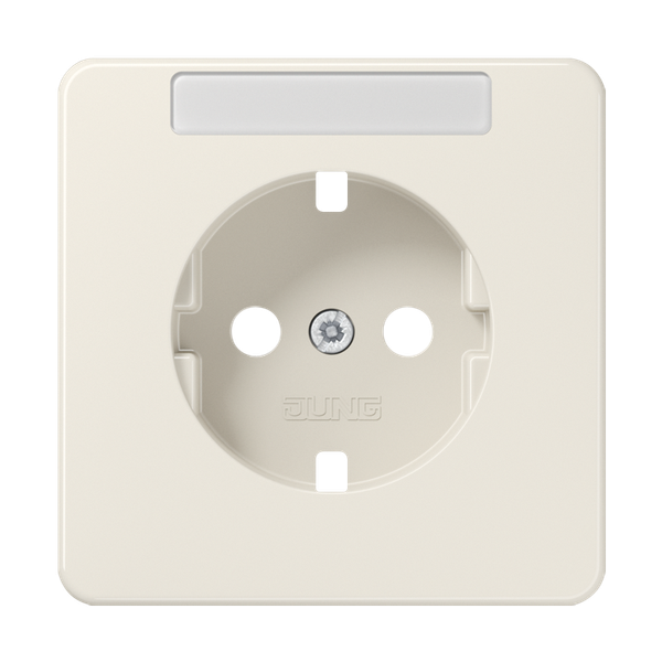 Central plate for SCHUKO® sockets with label, duroplast, CD series, white image 1