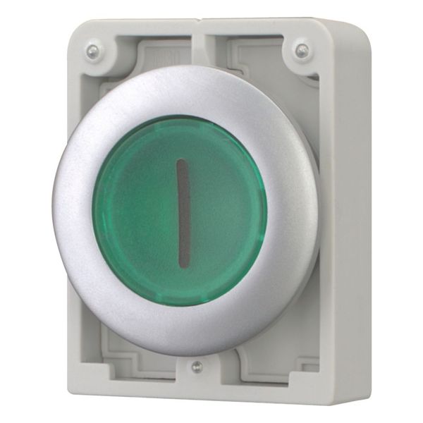 M30C-FDRL-G-X1 Illuminated pushbutton actuator, RMQ-Titan, Flat, maintained, green, inscribed, Metal bezel image 5