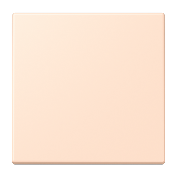 LB Management push-button 1-gang LC1700228 image 1