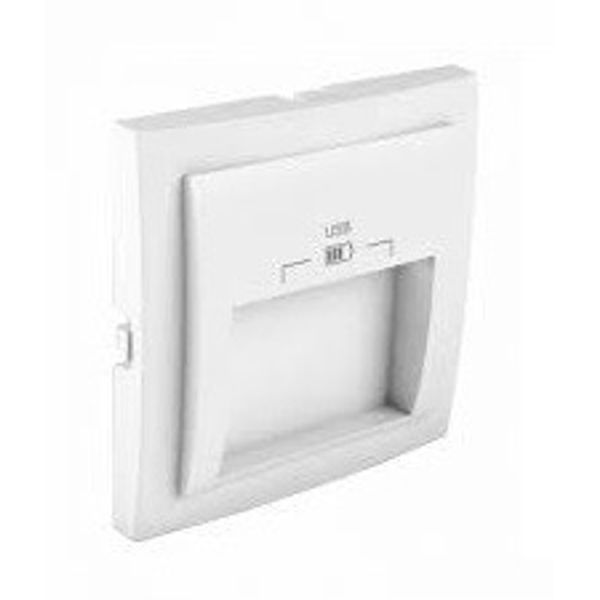 C PLATE DOUB USB CHARG TYPE A 20° OUTPUT ICE image 1