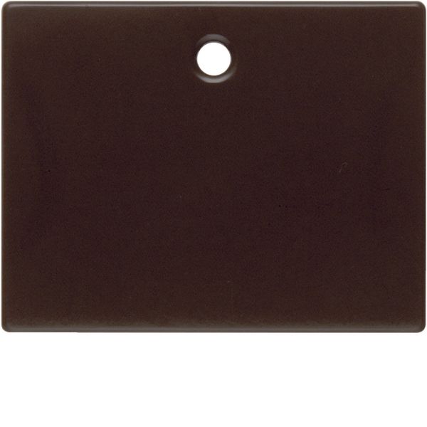 Centre plate for pullcord switch/pullcord push-button, arsys, brown gl image 2