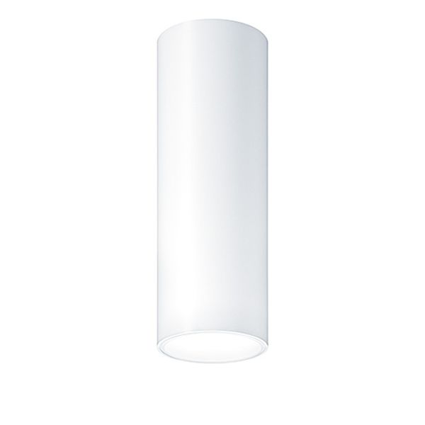 P-INF SC R100 1800-930 LDO WH WH - LED surface-mount ceiling luminaire image 1