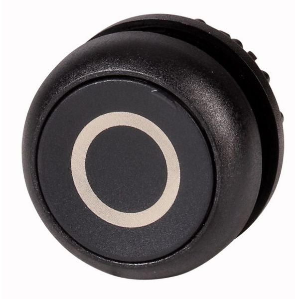 M22S-DR-S-X0 Pushbutton, RMQ-Titan, Flat, maintained, black, inscribed, Bezel: black image 1