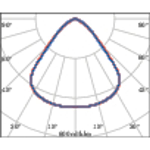 A+ 60 C/EW 4000K BLACK image 5