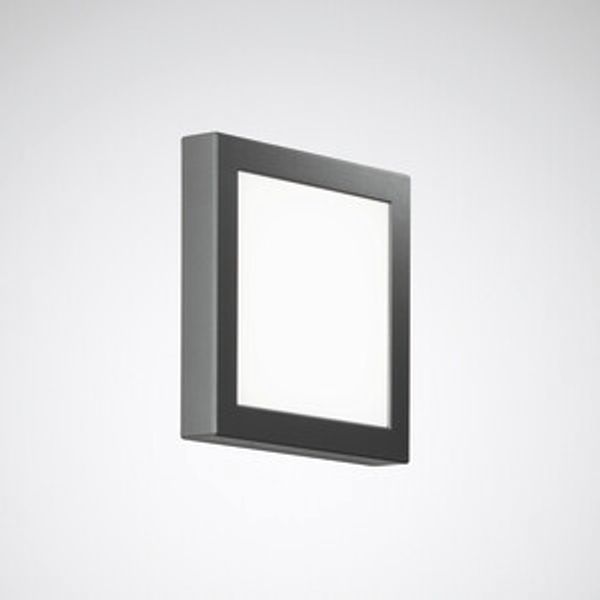 Wall and ceiling luminaire Skeo Pura Lens Anthracite ET 10W 600lm Lambertian (L) IP65 IK07 5 SDCM image 1