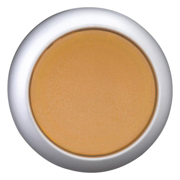 M22-DL-A Illuminated pushbutton actuator, RMQ-Titan, Flush, momentary, orange, Blank, Bezel: titanium image 6