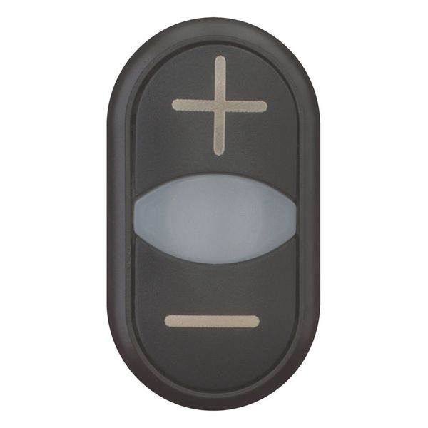 M22S-DDL-S-X4/X5 Double actuator pushbutton, RMQ-Titan, Actuators and indicator lights non-flush, momentary, White lens, black, black, inscribed, Bezel: black image 4