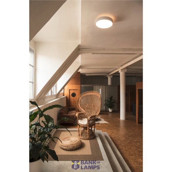 MEDO® 40, wall- and ceiling-mounted light, round, 2700/3000/4000K, 20W, trailing-edge phase, 110°, white image 2