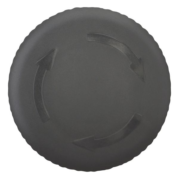 M22S-PVT HALT/STOP-Button, RMQ-Titan, Mushroom-shaped, 38 mm, Non-illuminated, Turn-to-release function, Black, yellow, RAL 9005 image 7