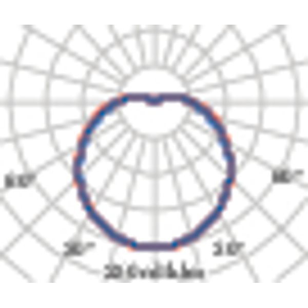 CHIP TONDO 30 LED 830 BLACK 16.5W image 7