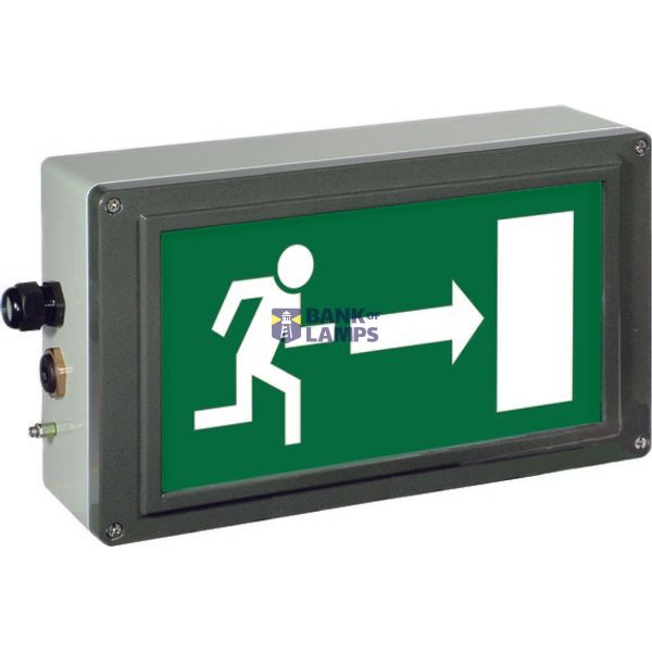 Ex-escape sign luminaires EX-LITE V-CG-S for emergency light function for zone 1/21, Pictogram: EN 1838, Arrow: 3 Clock image 2
