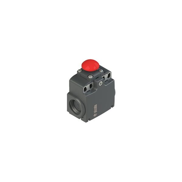 Position switch with mushroom head plunger image 1
