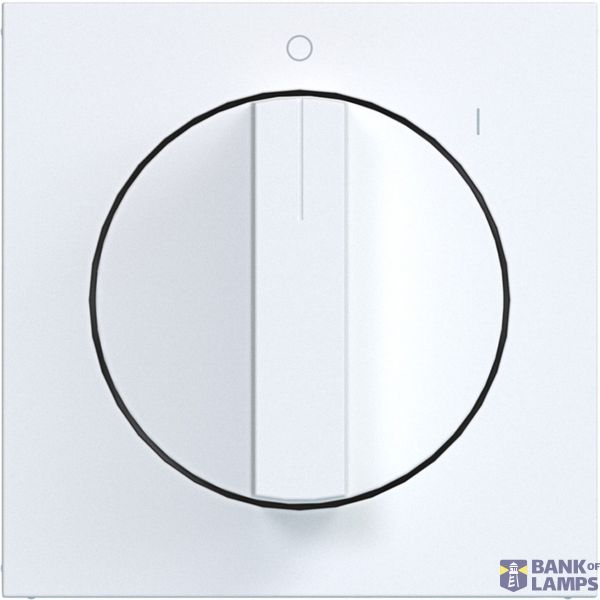 Rotary switch center plate, with markings 0-1, A.x/C.x light white matte image 1