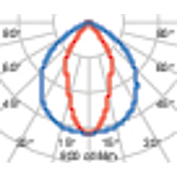 GUELL1 51 S/W 750 GR94 image 3