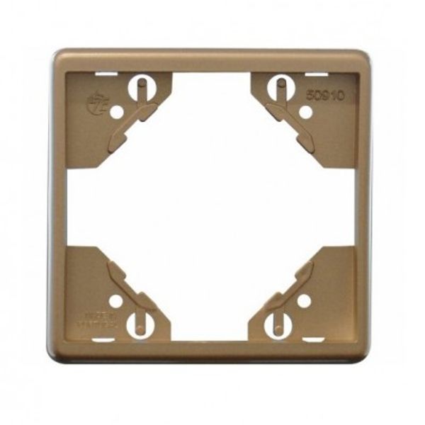 SINGLE FRAME CHAMPAGNE image 1