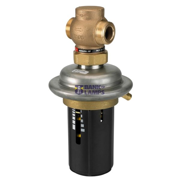 AVP, PN 25, DN 50, 20.00 m³/h, 0.20 bar - 1.00 bar, External Thread, G 2 1/2 A image 1