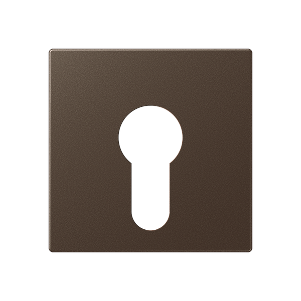 Cover plate f. key switch A525PLMO image 1
