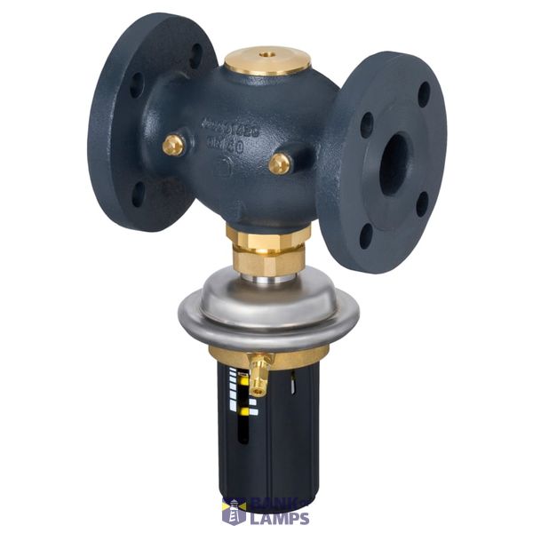 AVP, PN 25, DN 20, 6.30 m³/h, 0.30 bar - 2.00 bar, Flange, G 1 A image 1