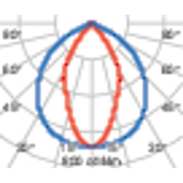 GUELL1 51 S/W 840 GR94 image 5