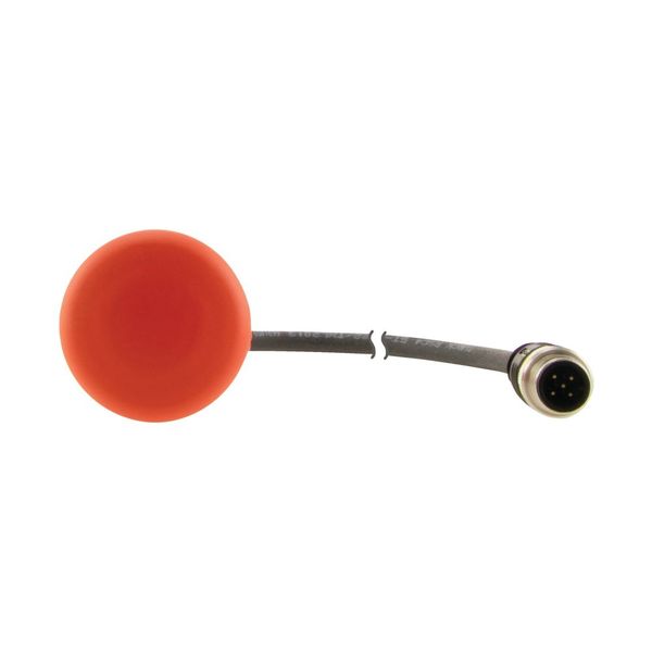 C22-PV-K02-P10 Emergency stop/emergency switching off pushbutton, Mushroom-shaped, 38 mm, Pull-to-release function, 2 NC, Cable (black) with M12A plug, 5 pole, 0.2 m image 12