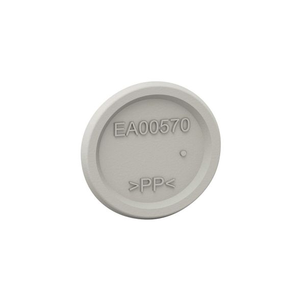 PLEXO CAPS TO PROTECT SCREWS FROM ELECTRICAL CONTACT image 1
