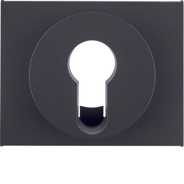 Centre plate for key switch/key push-button, K.1, ant. matt, lacq. image 1