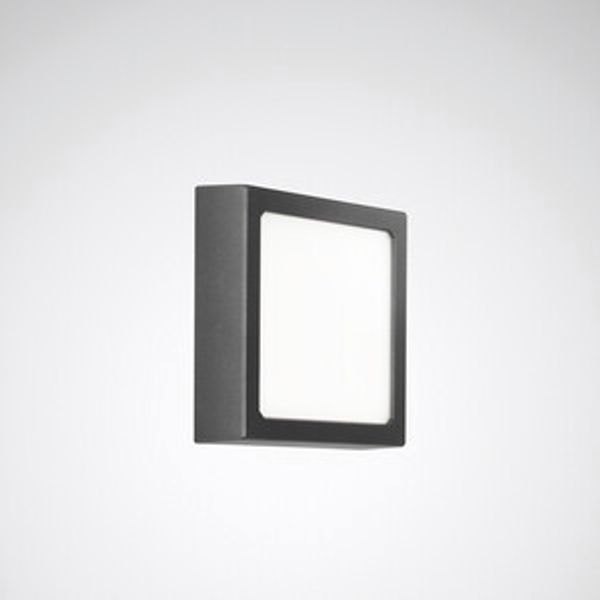 Wall and ceiling luminaire Skeo Square Multilumencolor 4 Diffuser Anthracite ET 12W 1000lm Lambertian (L) IP65 IK10 4 SDCM image 1