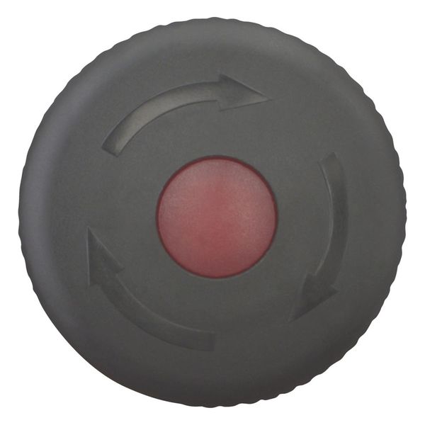M22S-PVLT HALT/STOP-Button, RMQ-Titan, Mushroom-shaped, 38 mm, Illuminated with LED element, Turn-to-release function, Black, yellow, RAL 9005 image 3
