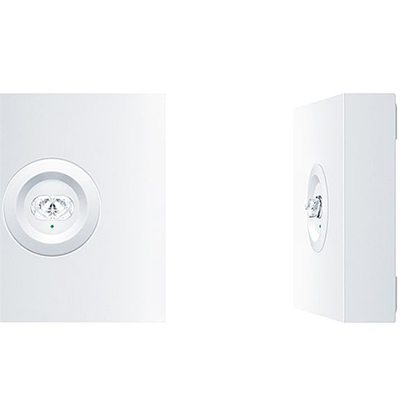 RESCLITE PRO MSW ESCW E1D WH - Safety luminaire image 1