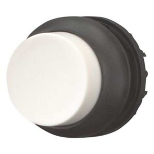 M22S-DH-W Pushbutton, RMQ-Titan, Extended, momentary, White, Blank, Bezel: black image 2