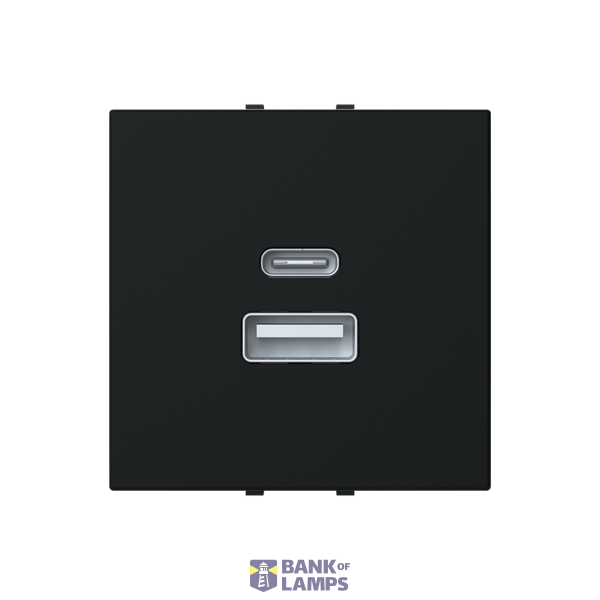 N2285.3 PL CARICATORE USB-A+C 10,5W -2M image 1