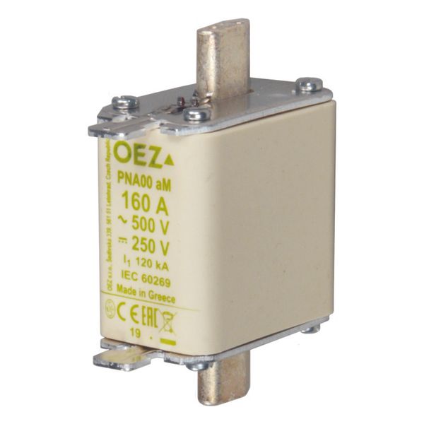 Fuse-link PNA00 100A aM image 1