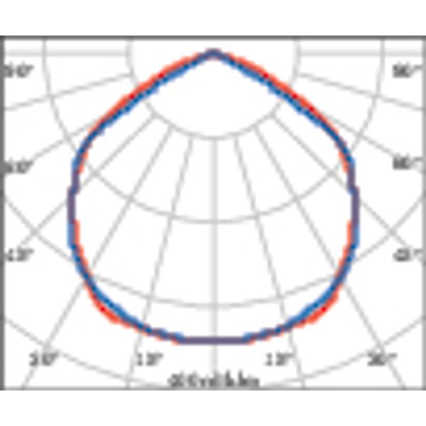 FOCUS+ZERO KIT 5W 2700K ANTHRACITE image 4