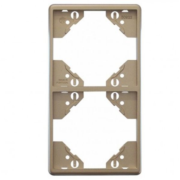 DOUBLE VERTICAL FRAME PLATINUM image 1