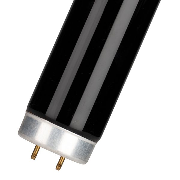 T8 15W G13 26X437 Blacklight Blue image 1