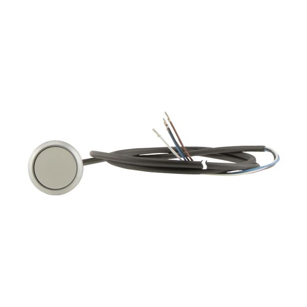 C22-DR-W-K10-P65 Pushbutton, classic, flat, maintained, 1 N/O, white, cable (black) with non-terminated end, 4 pole, 3.5 m image 9