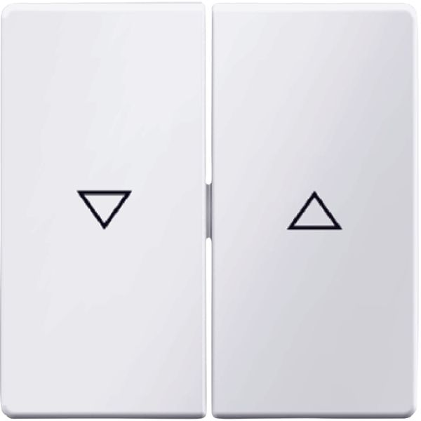 Rocker 2gang imprinted arrow symbol, Q.1/Q.3, p. white velvety image 1