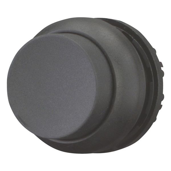 M22S-DH-S Pushbutton, RMQ-Titan, Extended, momentary, black, Blank, Bezel: black image 5