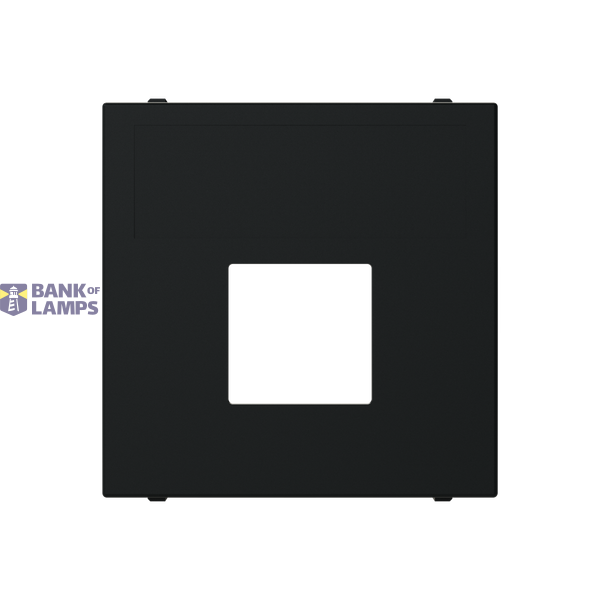 N2216.1 NT - Cover for 2Mod Data Socket. image 1