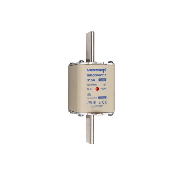 Fuse-link NH2 gG 400VAC 315A live tags Double indicator image 1