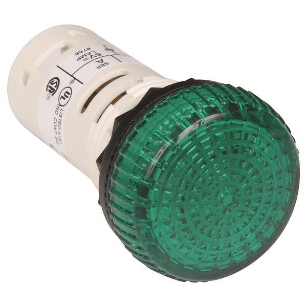 22mm Pilot Light 800F PB image 1